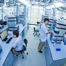 守正出新，正道致遠(yuǎn)——從技術(shù)開(kāi)發(fā)看勁牌2019社會(huì)責(zé)任擔(dān)當(dāng)